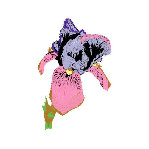 Illustration Wedding Illustration Wedding