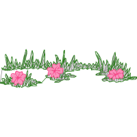 Illustration Wedding