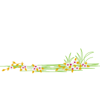 Illustration Wedding Illustration Wedding