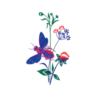 Illustration Wedding