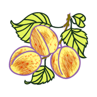 Illustration Wedding Illustration Wedding