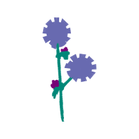 Illustration Wedding Illustration Wedding