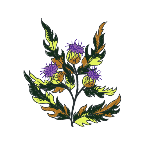 Illustration Wedding Illustration Wedding