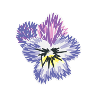 Illustration Wedding