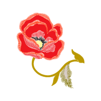 Illustration Wedding Illustration Wedding