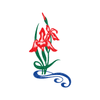 Illustration Wedding Illustration Wedding