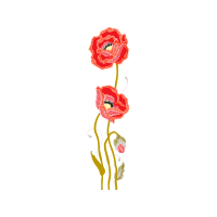 Illustration Wedding Illustration Wedding