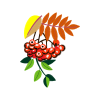 Illustration Wedding Illustration Wedding