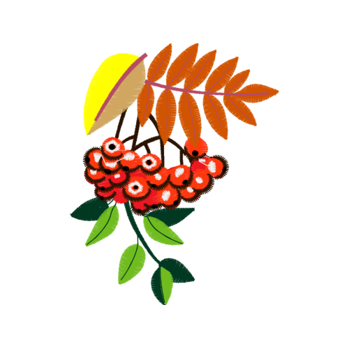 Illustration Wedding Illustration Wedding