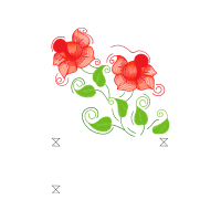 Illustration Wedding Illustration Wedding