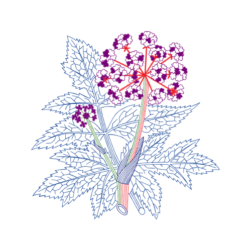 Illustration Wedding Illustration Wedding