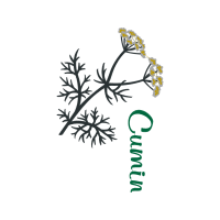 Illustration Wedding