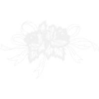 Illustration Wedding Illustration Wedding