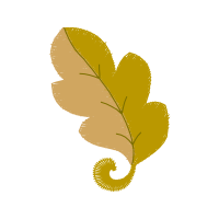 Illustration Wedding