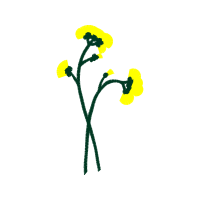 Illustration Wedding Illustration Wedding