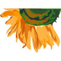 Illustration Wedding Illustration Wedding