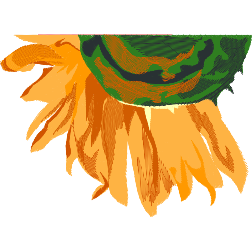 Illustration Wedding Illustration Wedding