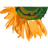 Illustration Wedding Illustration Wedding