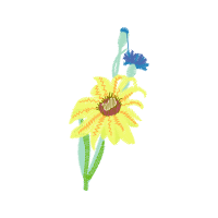 Illustration Wedding