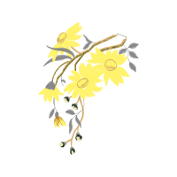 Illustration Wedding