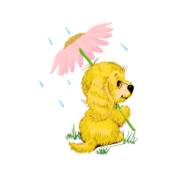 Illustration Wedding Illustration Wedding