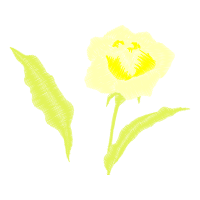 Illustration Wedding Illustration Wedding