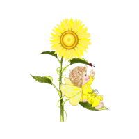 Illustration Wedding