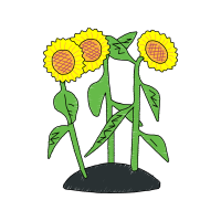 Illustration Wedding Illustration Wedding