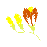 Illustration Wedding