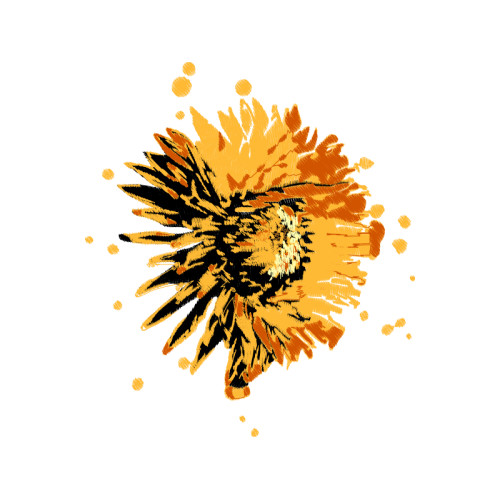 Illustration Wedding Illustration Wedding