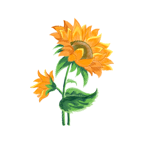 Illustration Wedding Illustration Wedding