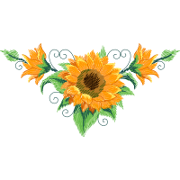 Illustration Wedding Illustration Wedding