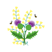 Illustration Wedding