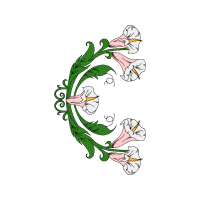 Illustration Wedding Illustration Wedding