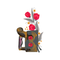 Japanese Camellia Wedding Japanese Camellia Wedding