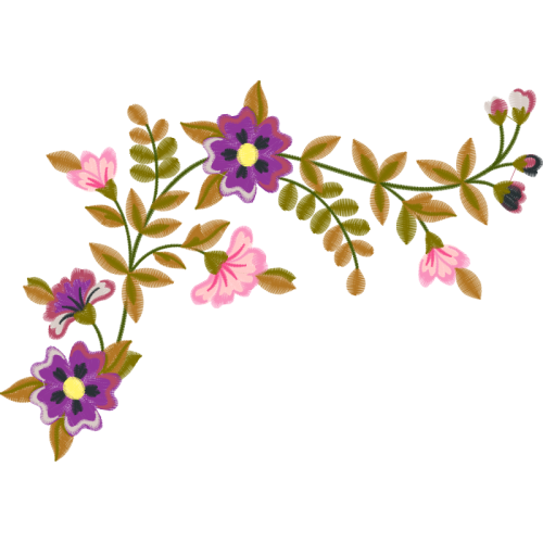 Jurema Preta Wedding Jurema Preta Wedding