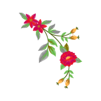 Jurema Preta Wedding Jurema Preta Wedding