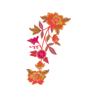 Jurema Preta Wedding Jurema Preta Wedding