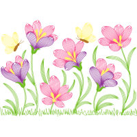 Laceleaf Wedding Laceleaf Wedding