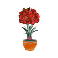 Laceleaf Wedding Laceleaf Wedding