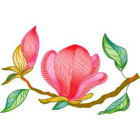 Laceleaf Wedding Laceleaf Wedding