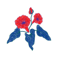 Laceleaf Wedding Laceleaf Wedding