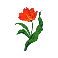 Laceleaf Wedding Laceleaf Wedding