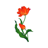 Laceleaf Wedding Laceleaf Wedding