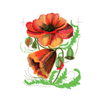 Laceleaf Wedding Laceleaf Wedding