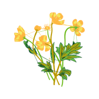 Laceleaf Wedding Laceleaf Wedding