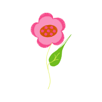 Laceleaf Wedding Laceleaf Wedding