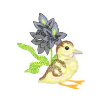 Laughing Kookaburra Wedding