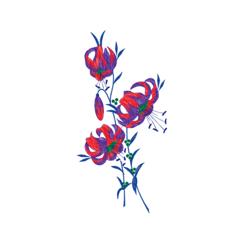 Lepidoptera Wedding Lepidoptera Wedding