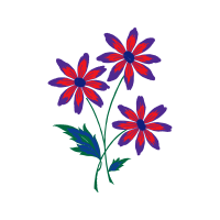 Life In Three Dimensions How Curiosity Exploration And Experience Make A Fuller Better Life Wedding